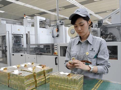 高材生投身卷煙流水線 一場關于人才配置的社會爭議